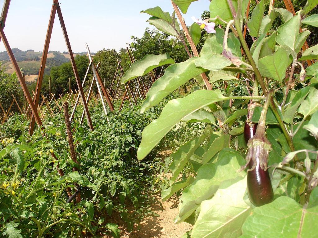 הוילה Castello di Serravalle Agriturismo Ca' Isotta מראה חיצוני תמונה