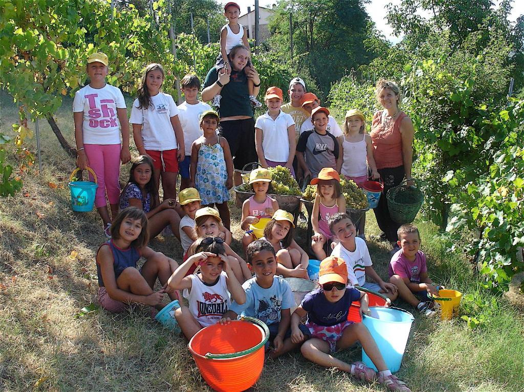 הוילה Castello di Serravalle Agriturismo Ca' Isotta מראה חיצוני תמונה