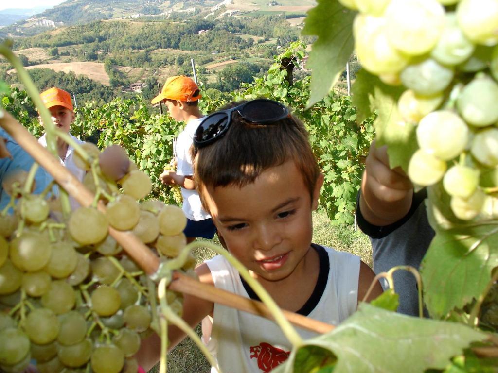 Castello di Serravalle Agriturismo Ca' Isotta מראה חיצוני תמונה